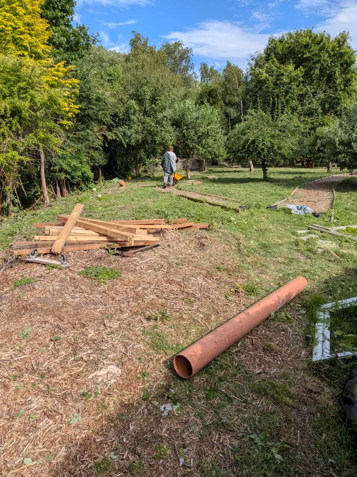 Overgrown orchard cleared and chipped, with a bark path laid through the trees