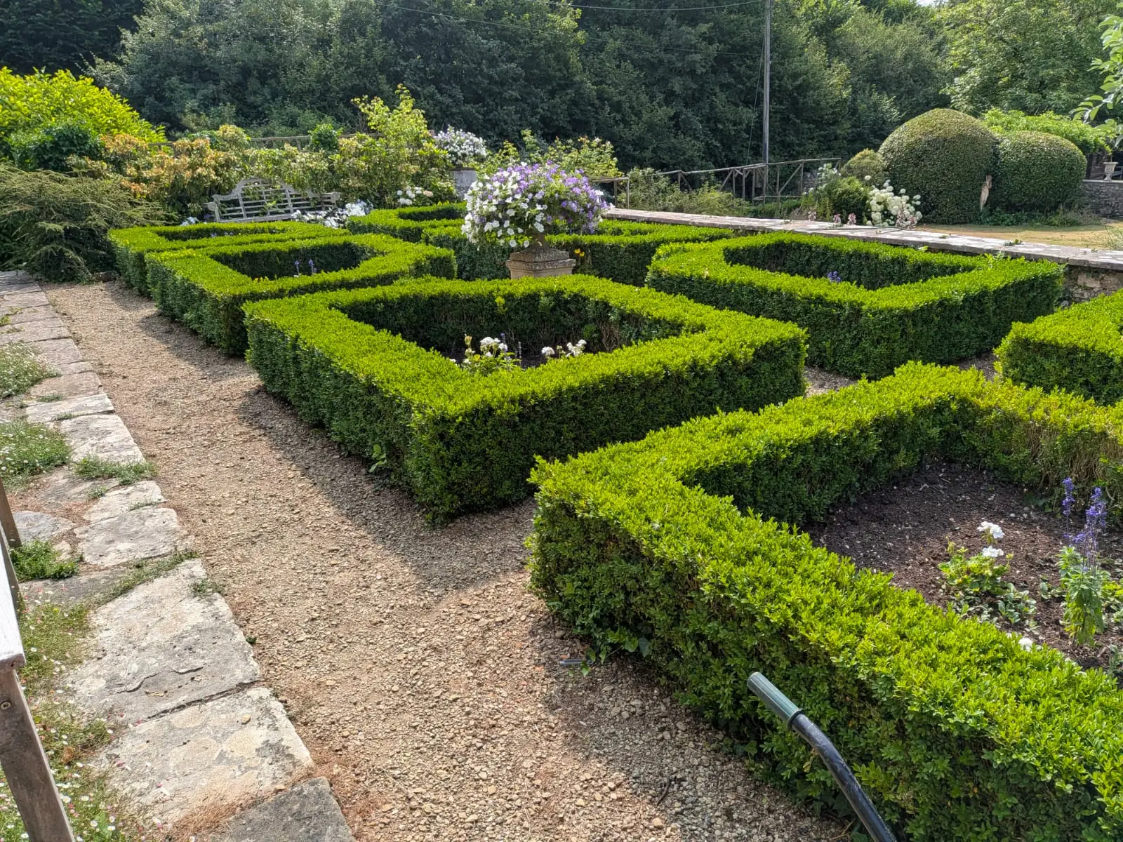 The same box parterre seen from the gravel path, hedges squared off and beds in flower