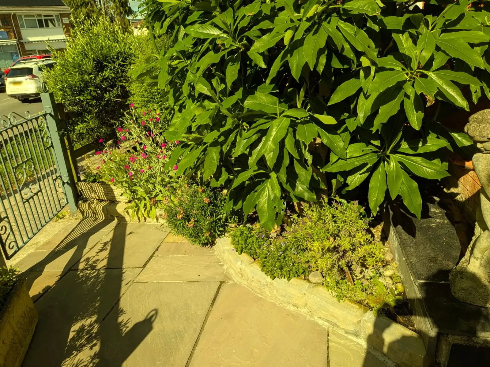 Sandstone front path with a stone edged border, leading to a wrought iron gate on the street