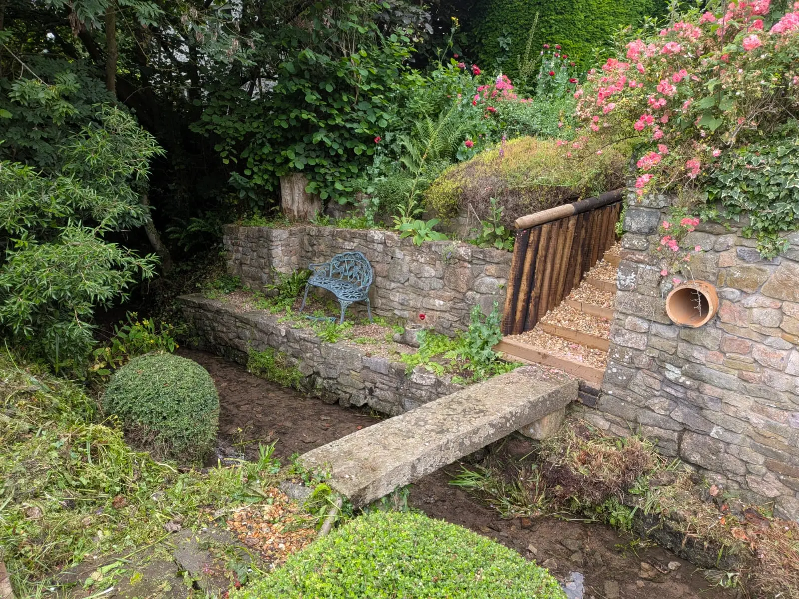 Stone retaining terraces with gravel filled timber steps rising past a climbing rose